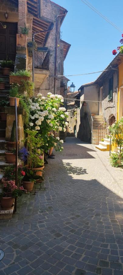 شقة La Chascona Di Farnese Casa Di Tufo Nel Borgo المظهر الخارجي الصورة